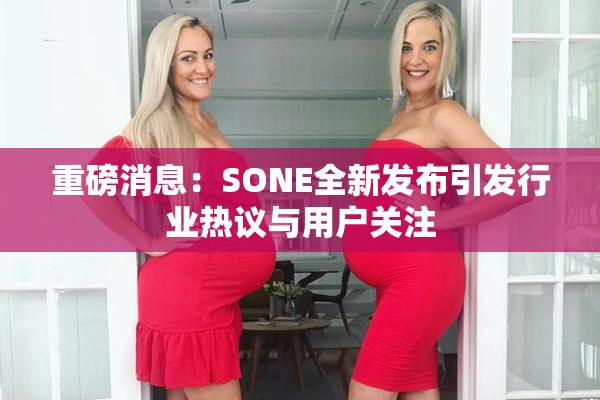 重磅消息：SONE全新发布引发行业热议与用户关注
