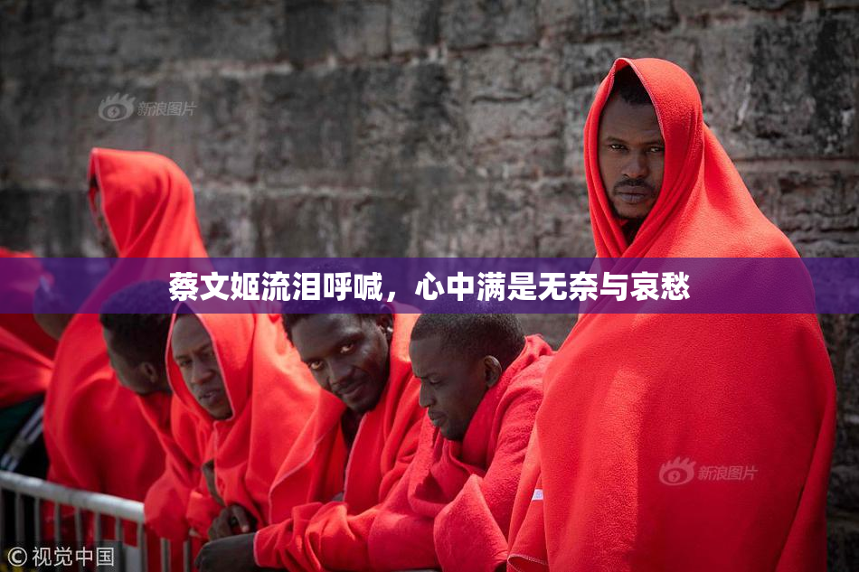蔡文姬流泪呼喊，心中满是无奈与哀愁