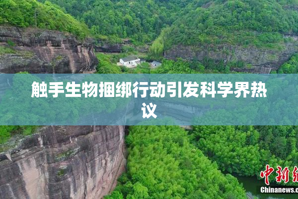 触手生物捆绑行动引发科学界热议