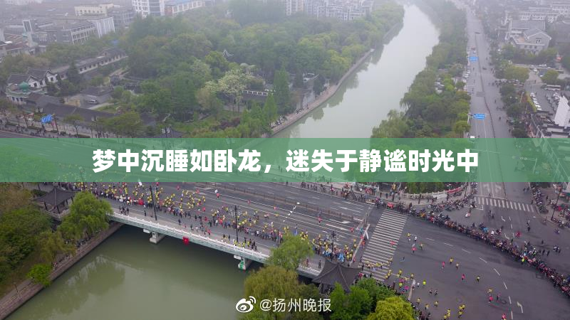 梦中沉睡如卧龙，迷失于静谧时光中