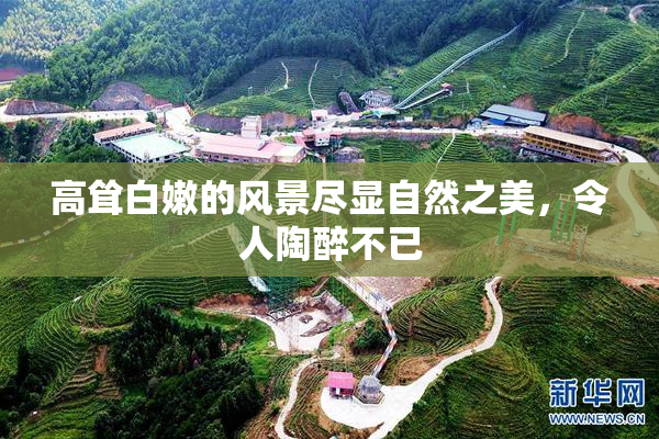 高耸白嫩的风景尽显自然之美，令人陶醉不已