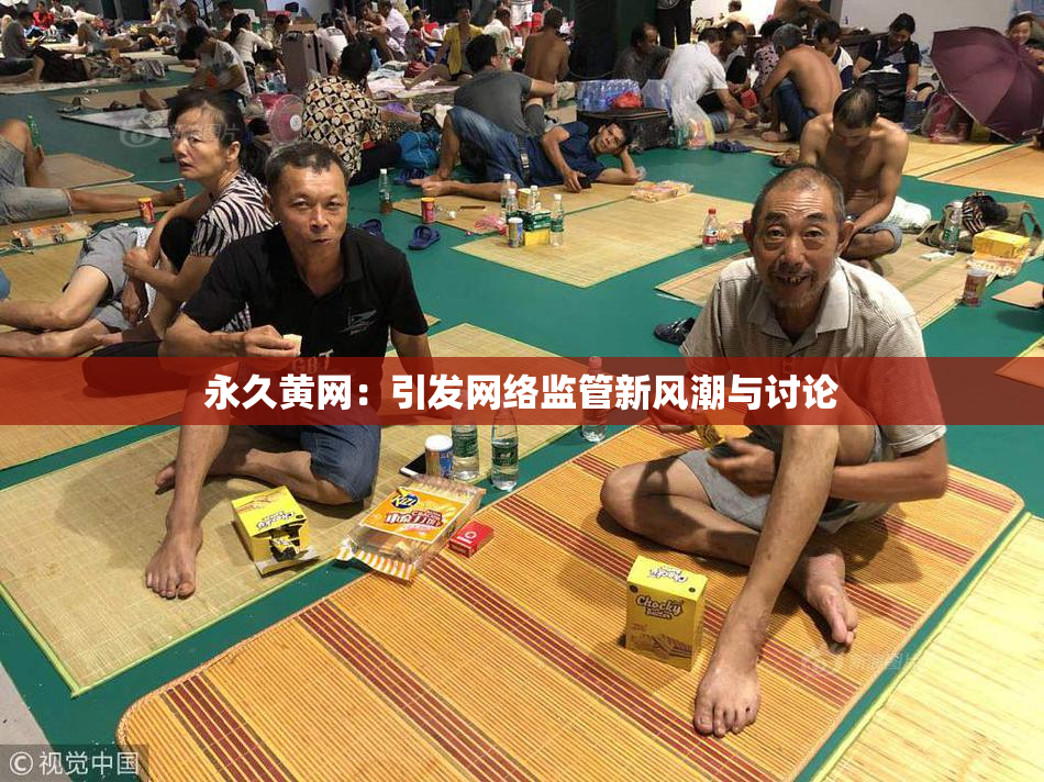 永久黄网：引发网络监管新风潮与讨论