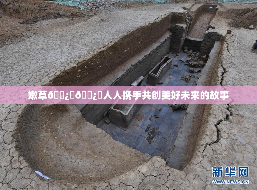嫩草🌿‌🌿‌人人携手共创美好未来的故事