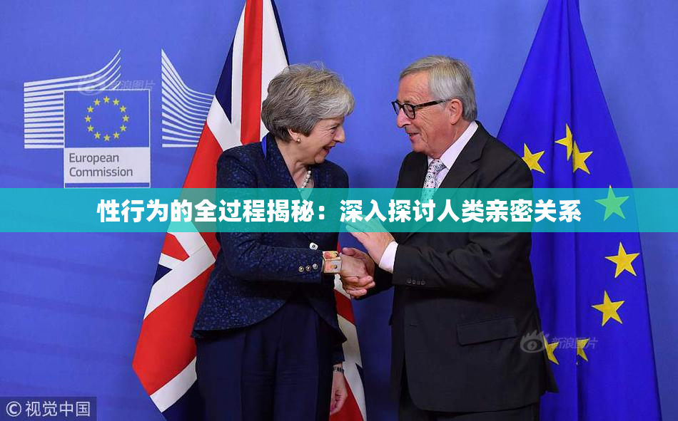 性行为的全过程揭秘：深入探讨人类亲密关系
