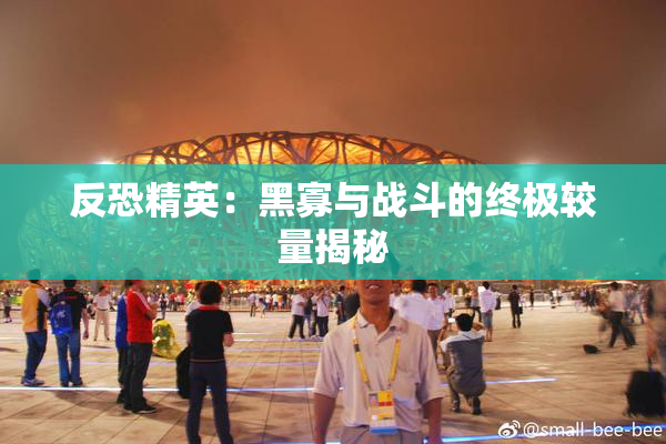 反恐精英：黑寡与战斗的终极较量揭秘
