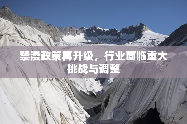 禁漫政策再升级，行业面临重大挑战与调整