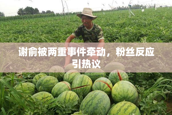 谢俞被两重事件牵动，粉丝反应引热议