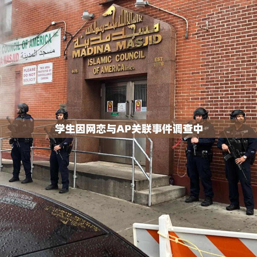 学生因网恋与AP关联事件调查中