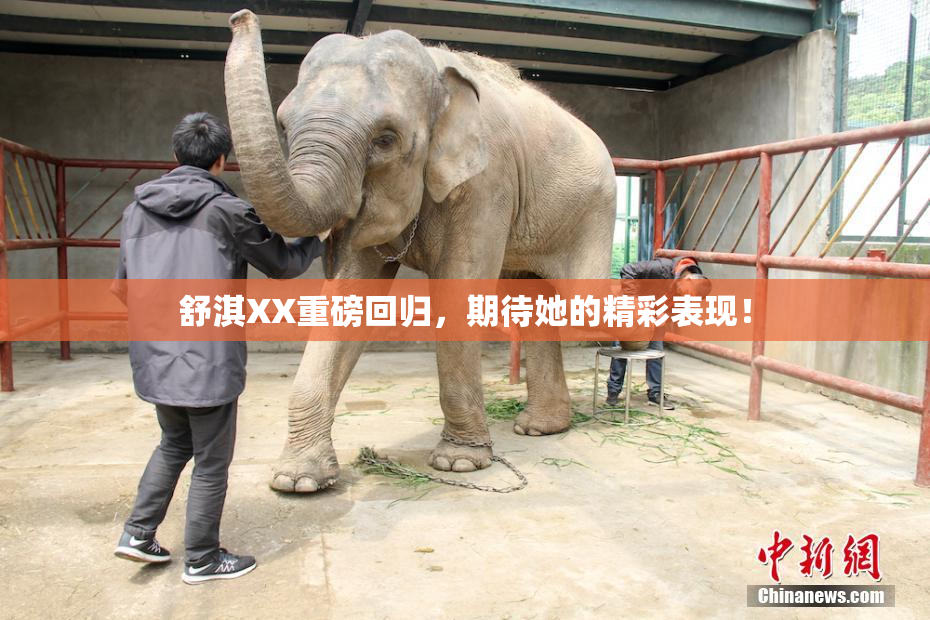 舒淇XX重磅回归，期待她的精彩表现！