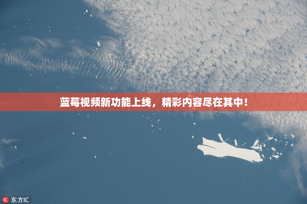 蓝莓视频新功能上线，精彩内容尽在其中！