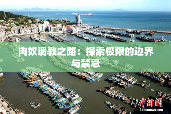 肉奴调教之路：探索极限的边界与禁忌