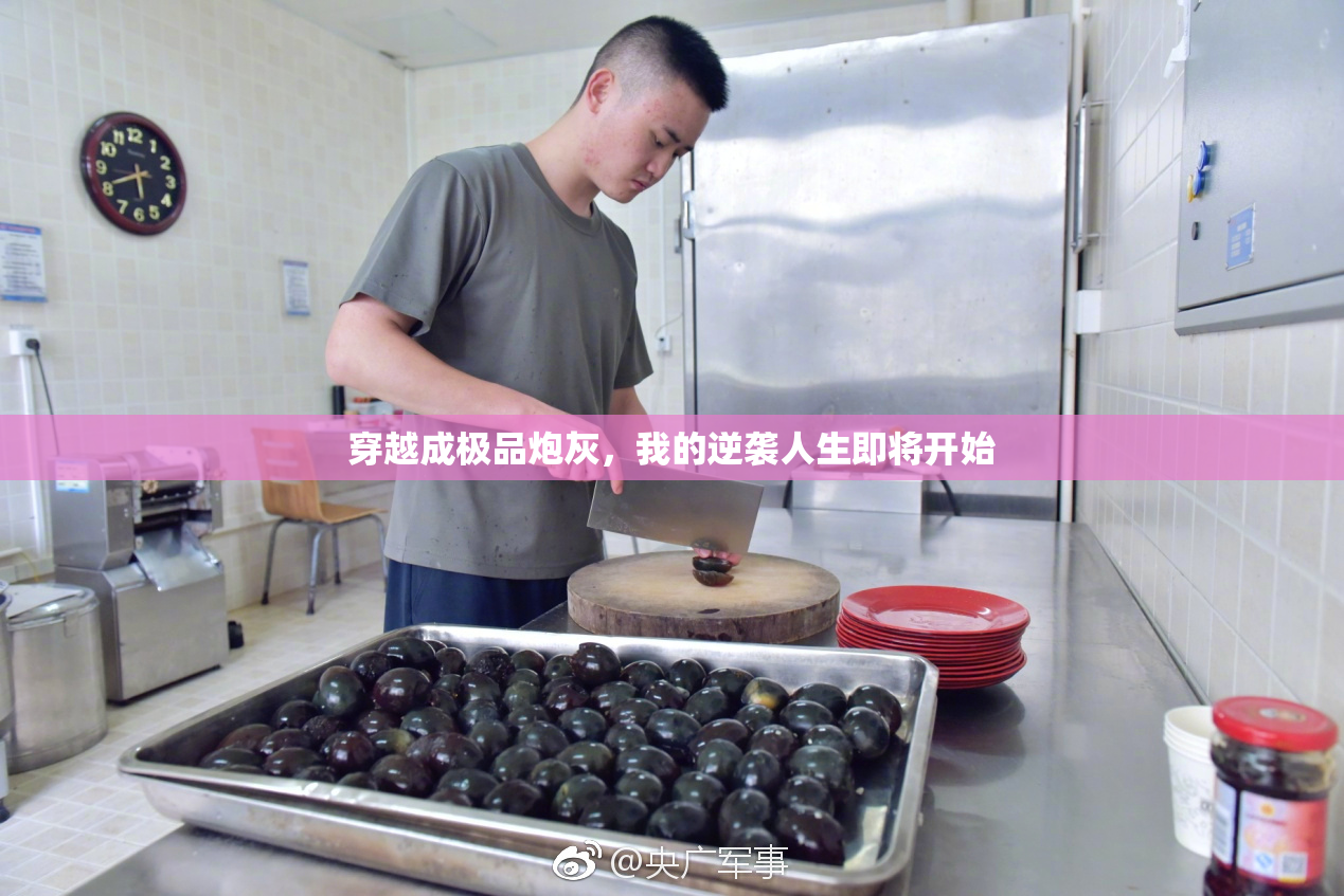 穿越成极品炮灰，我的逆袭人生即将开始