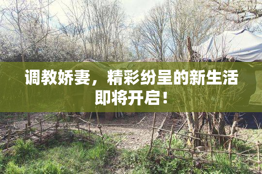 调教娇妻，精彩纷呈的新生活即将开启！