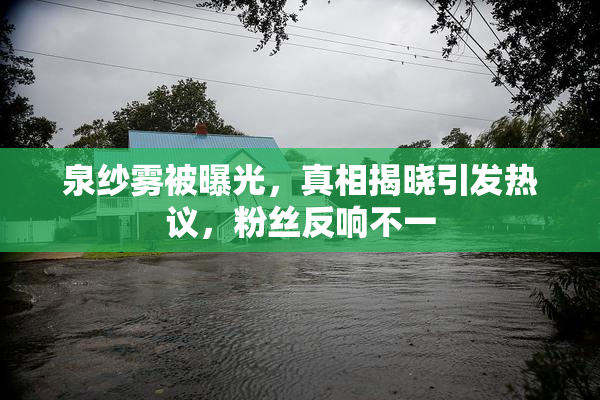 泉纱雾被曝光，真相揭晓引发热议，粉丝反响不一
