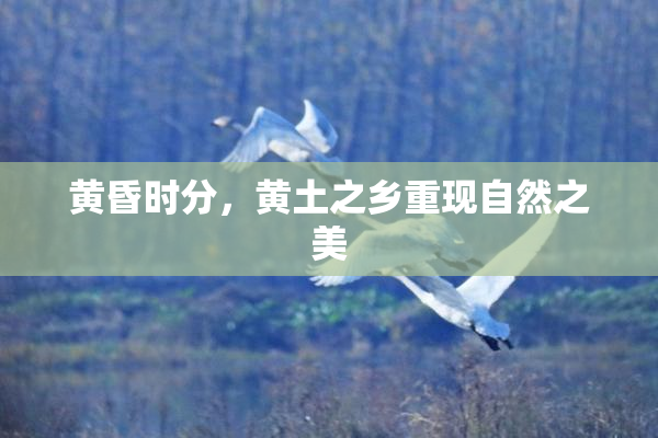 黄昏时分，黄土之乡重现自然之美