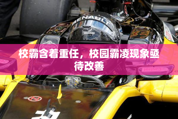 校霸含着重任，校园霸凌现象亟待改善