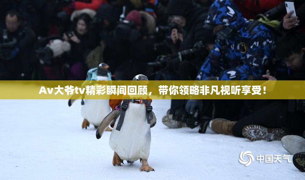 Av大爷tv精彩瞬间回顾，带你领略非凡视听享受！