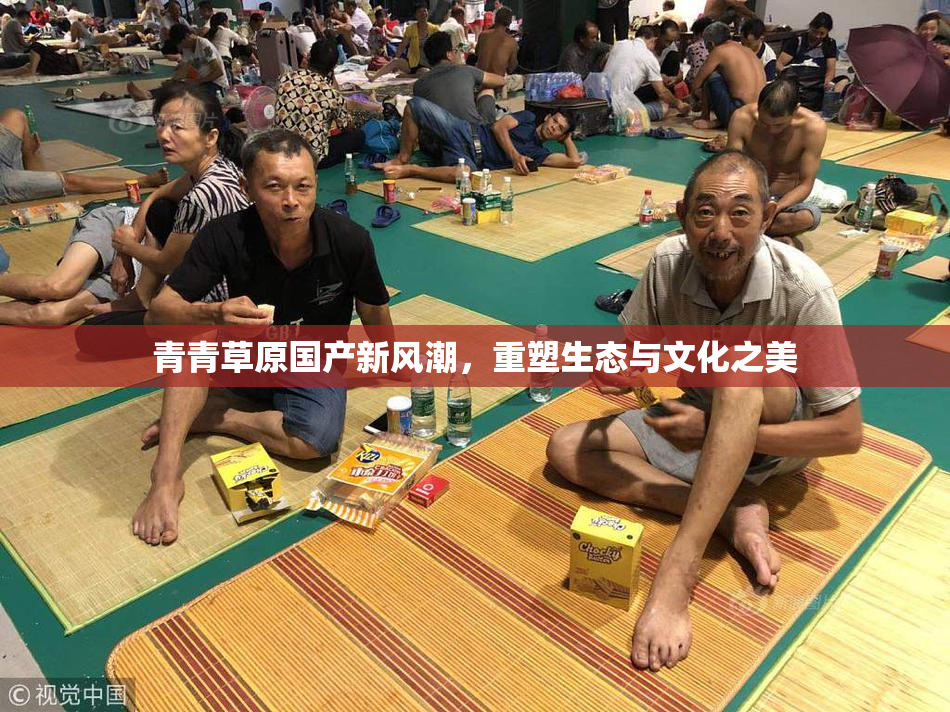 青青草原国产新风潮，重塑生态与文化之美