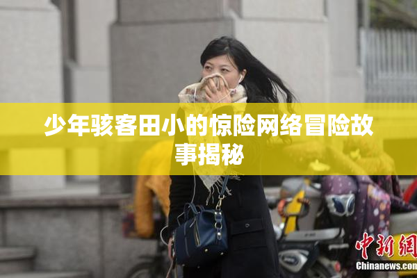 少年骇客田小的惊险网络冒险故事揭秘