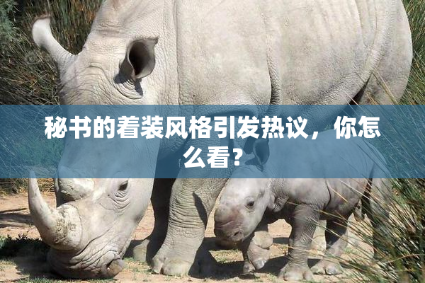 秘书的着装风格引发热议，你怎么看？