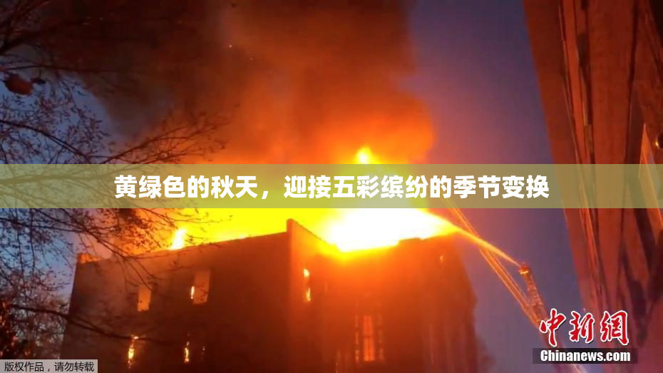 黄绿色的秋天，迎接五彩缤纷的季节变换