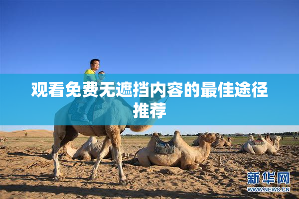 观看免费无遮挡内容的最佳途径推荐