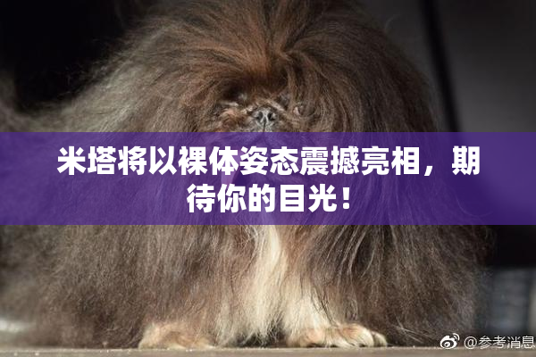 米塔将以裸体姿态震撼亮相，期待你的目光！