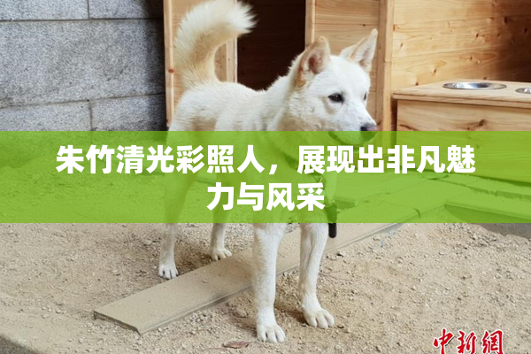 朱竹清光彩照人，展现出非凡魅力与风采
