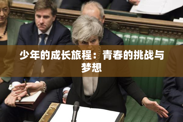 少年的成长旅程：青春的挑战与梦想