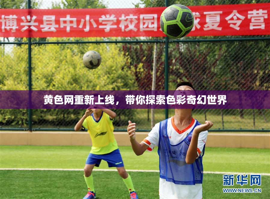 黄色网重新上线，带你探索色彩奇幻世界