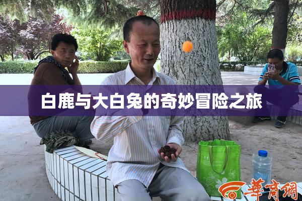 白鹿与大白兔的奇妙冒险之旅