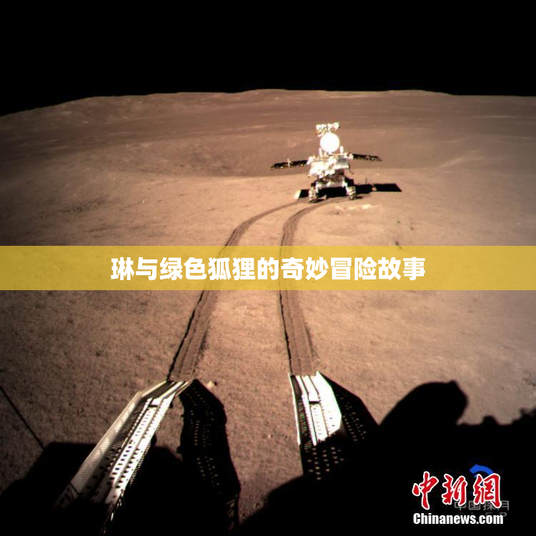 琳与绿色狐狸的奇妙冒险故事