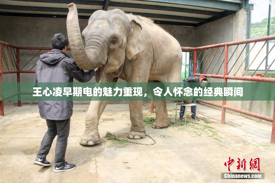 王心凌早期电的魅力重现，令人怀念的经典瞬间