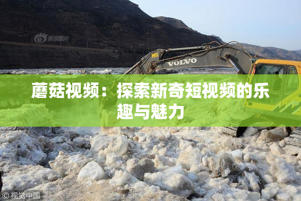 蘑菇视频：探索新奇短视频的乐趣与魅力