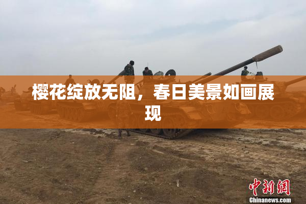 樱花绽放无阻，春日美景如画展现