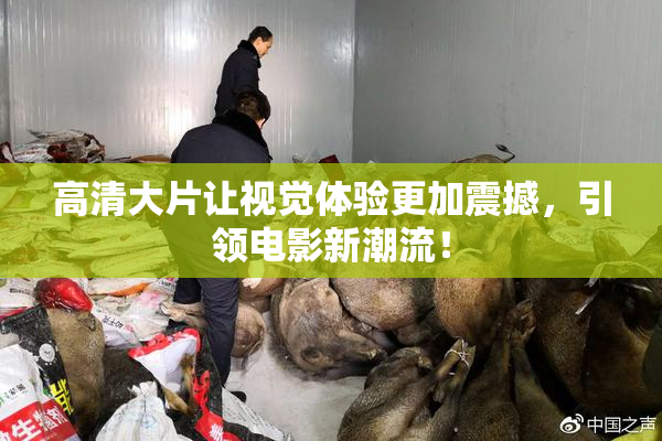 高清大片让视觉体验更加震撼，引领电影新潮流！