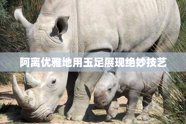 阿离优雅地用玉足展现绝妙技艺