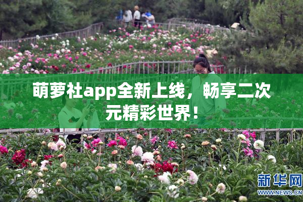 萌萝社app全新上线，畅享二次元精彩世界！