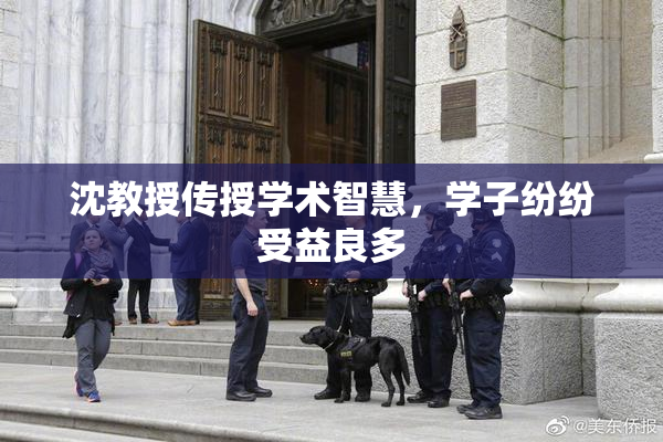 沈教授传授学术智慧，学子纷纷受益良多