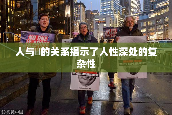 人与嘼的关系揭示了人性深处的复杂性