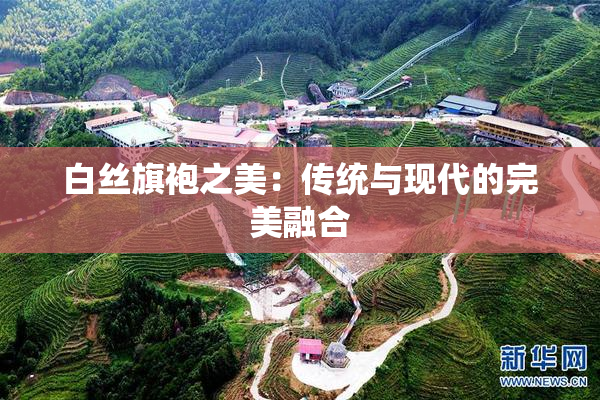 白丝旗袍之美：传统与现代的完美融合