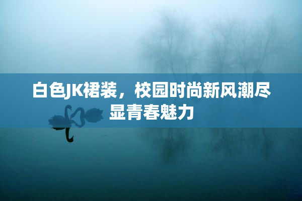白色JK裙装，校园时尚新风潮尽显青春魅力