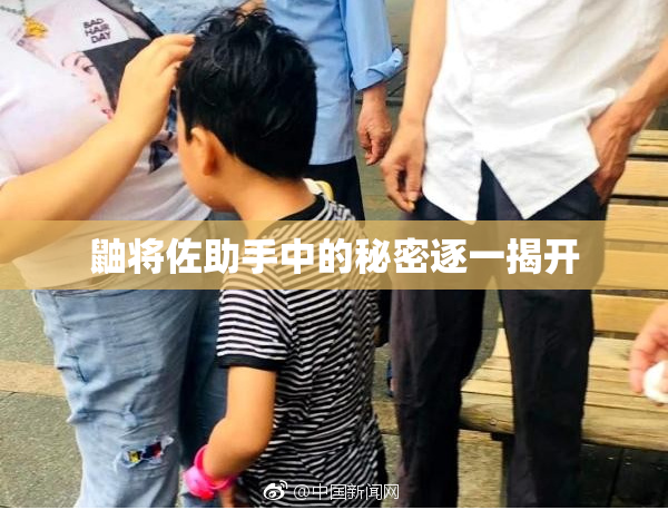 鼬将佐助手中的秘密逐一揭开