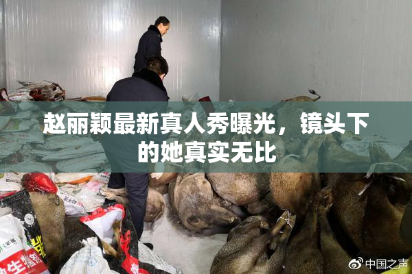 赵丽颖最新真人秀曝光，镜头下的她真实无比