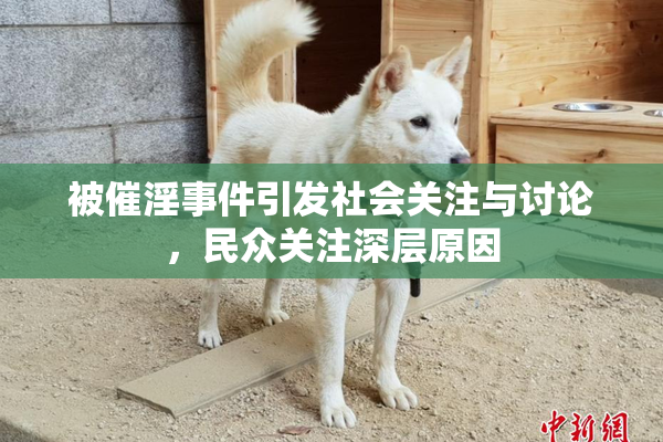 被催淫事件引发社会关注与讨论，民众关注深层原因