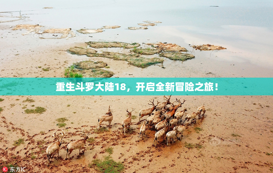 重生斗罗大陆18，开启全新冒险之旅！