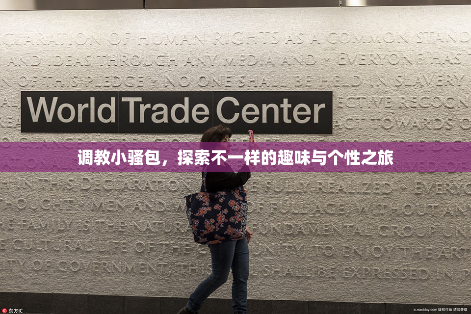 调教小骚包，探索不一样的趣味与个性之旅