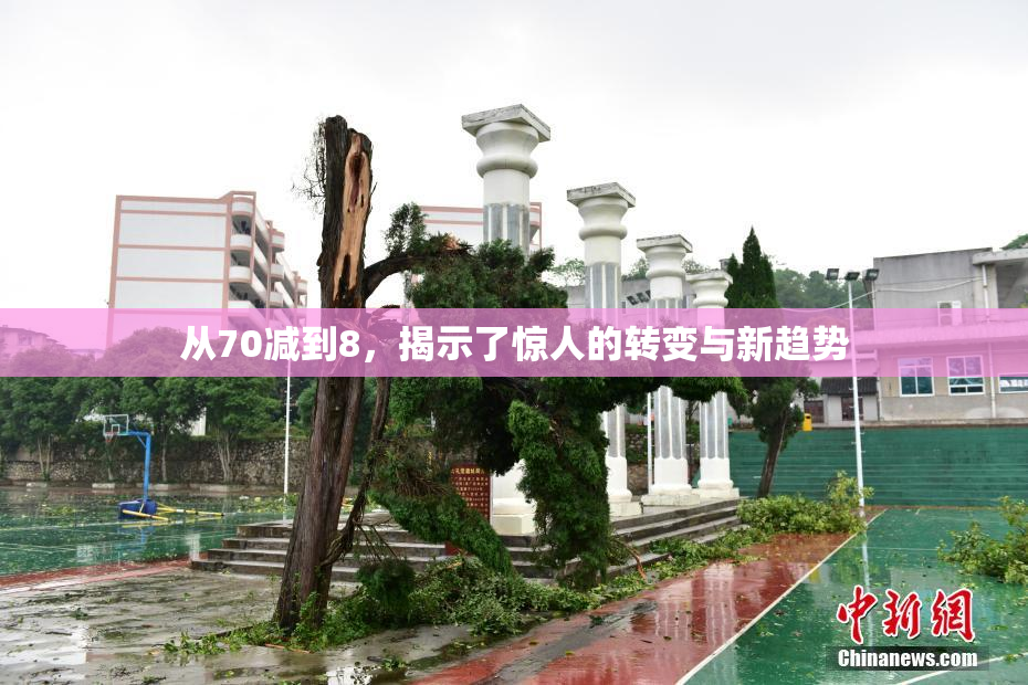 从70减到8，揭示了惊人的转变与新趋势