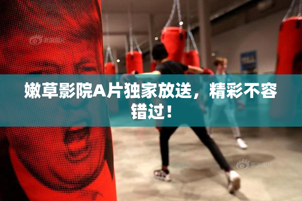 嫩草影院A片独家放送，精彩不容错过！