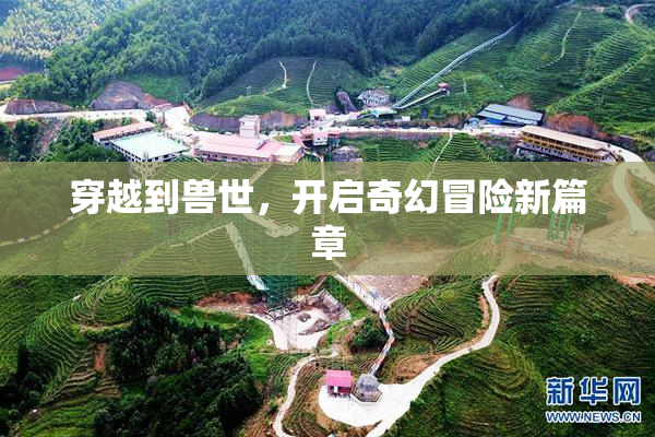 穿越到兽世，开启奇幻冒险新篇章